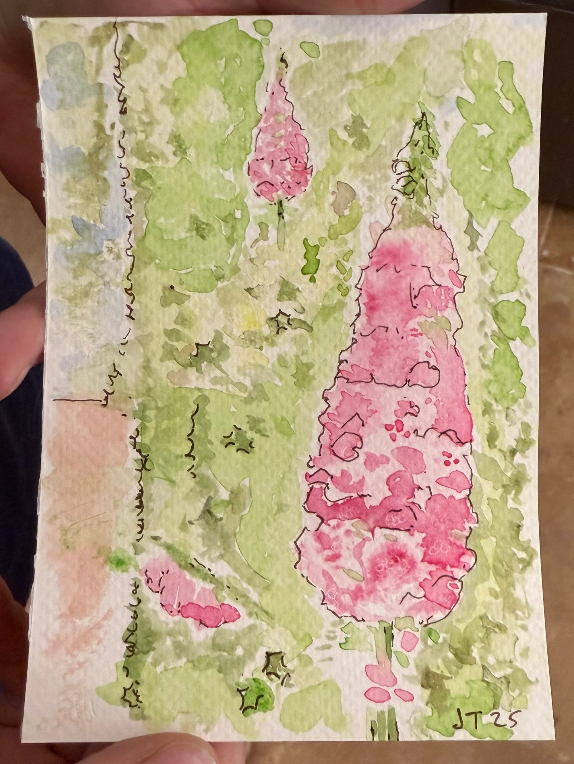 A watercolor postcard of conical magenta flowers in a holly hedge
